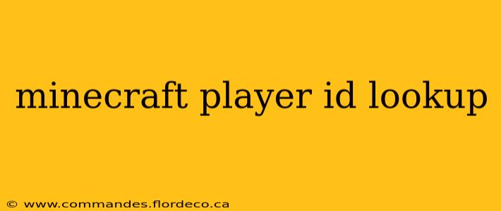 minecraft player id lookup