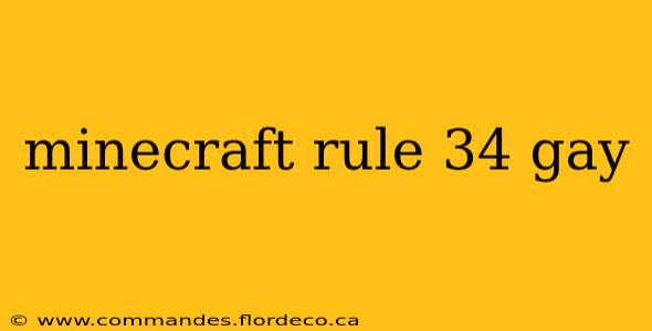 minecraft rule 34 gay