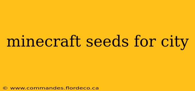 minecraft seeds for city