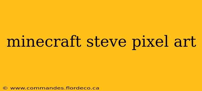 minecraft steve pixel art