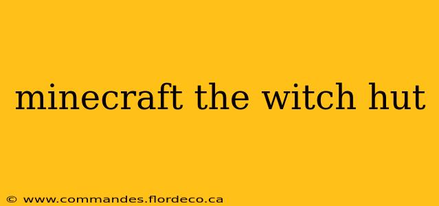 minecraft the witch hut