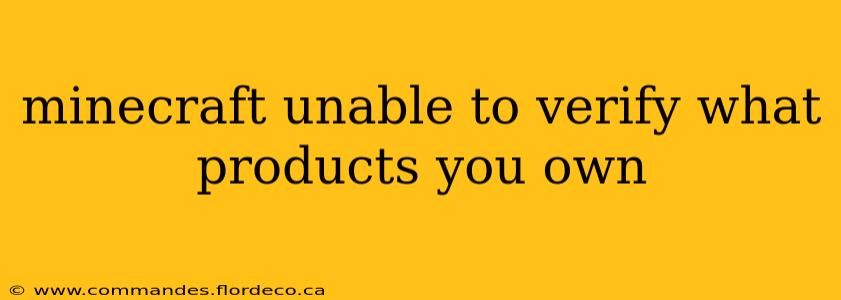 minecraft unable to verify what products you own