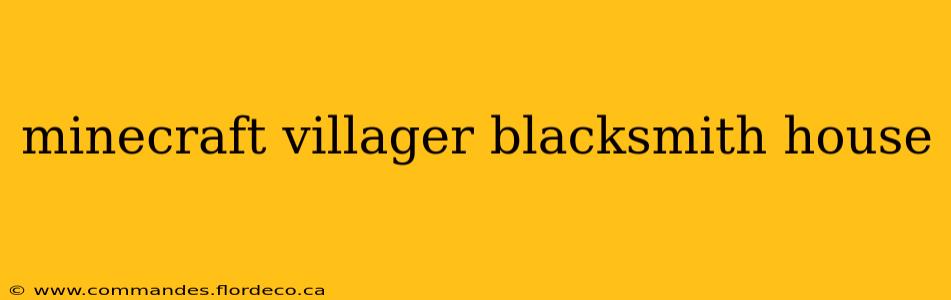 minecraft villager blacksmith house