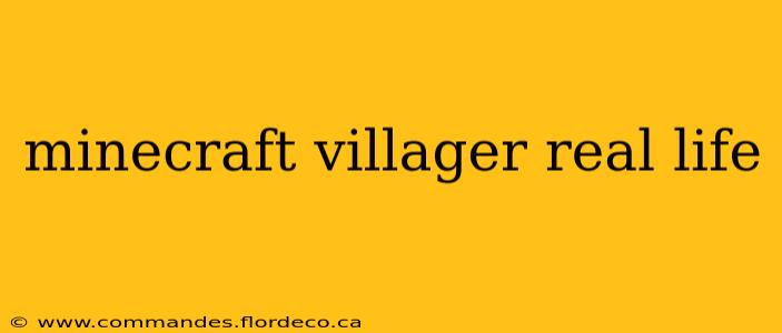 minecraft villager real life