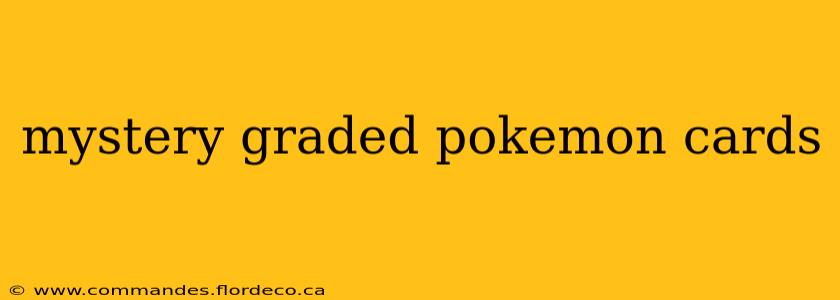 mystery graded pokemon cards