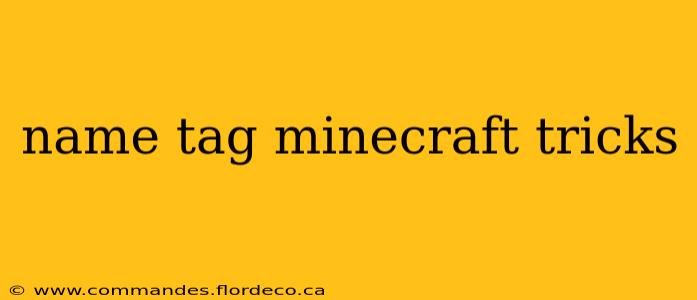 name tag minecraft tricks