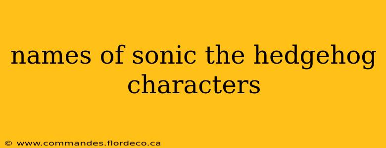 names of sonic the hedgehog characters