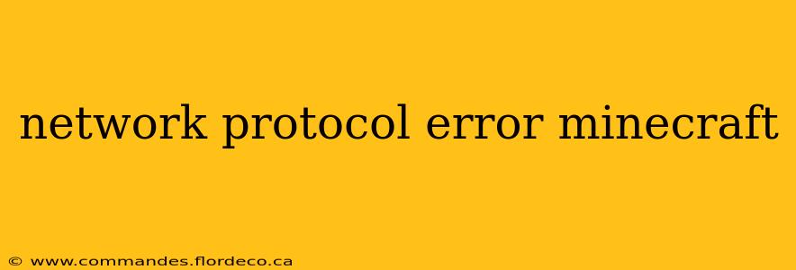 network protocol error minecraft