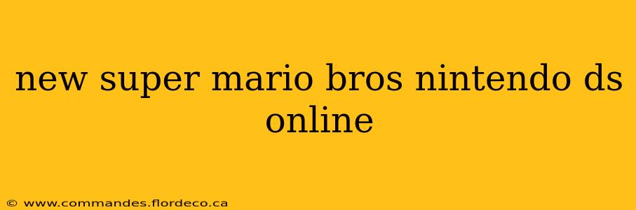 new super mario bros nintendo ds online