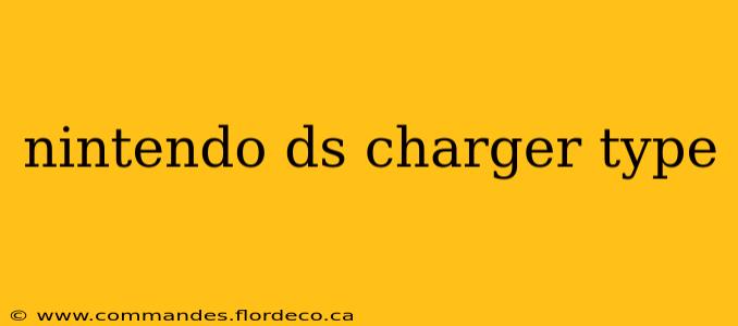 nintendo ds charger type