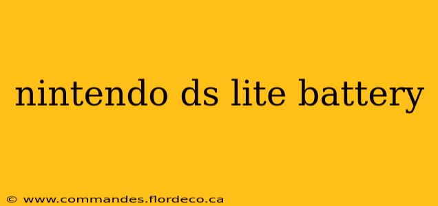 nintendo ds lite battery
