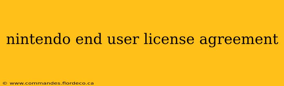nintendo end user license agreement