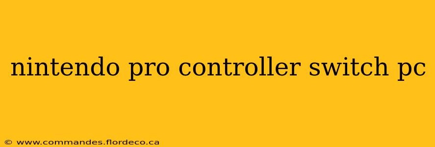 nintendo pro controller switch pc