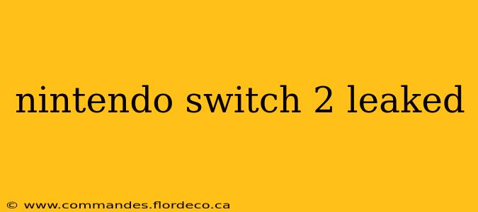 nintendo switch 2 leaked