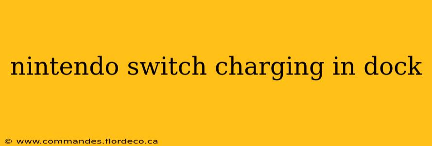 nintendo switch charging in dock