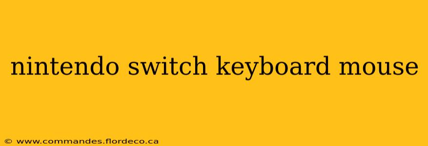nintendo switch keyboard mouse