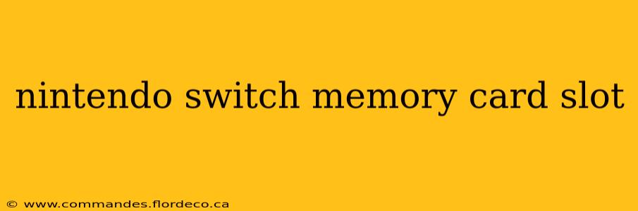 nintendo switch memory card slot
