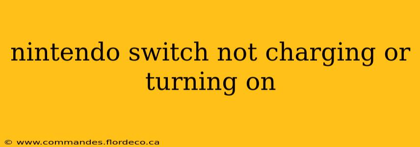 nintendo switch not charging or turning on