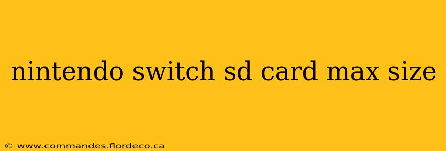 nintendo switch sd card max size