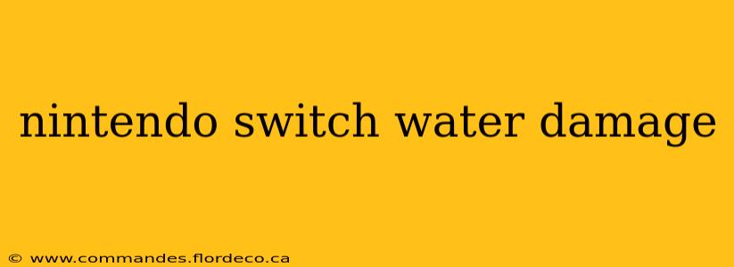 nintendo switch water damage