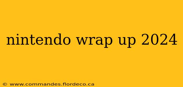 nintendo wrap up 2024