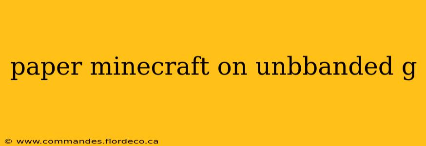 paper minecraft on unbbanded g