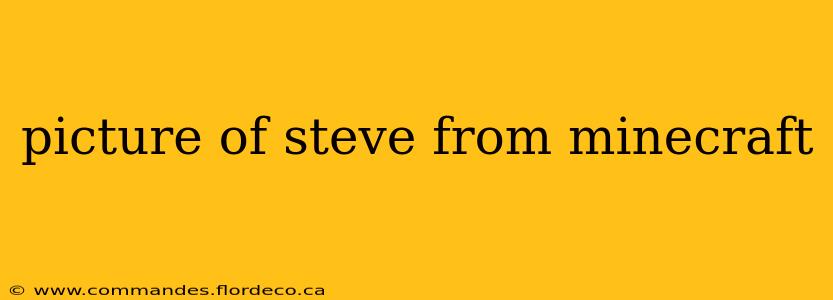 picture of steve from minecraft