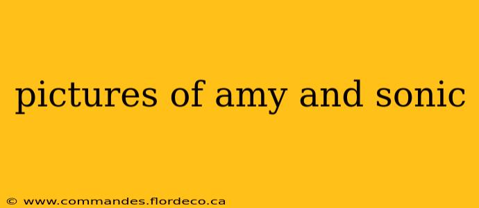 pictures of amy and sonic