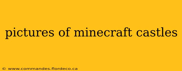 pictures of minecraft castles