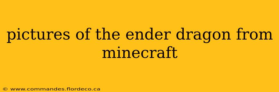pictures of the ender dragon from minecraft