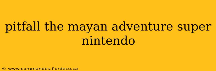 pitfall the mayan adventure super nintendo