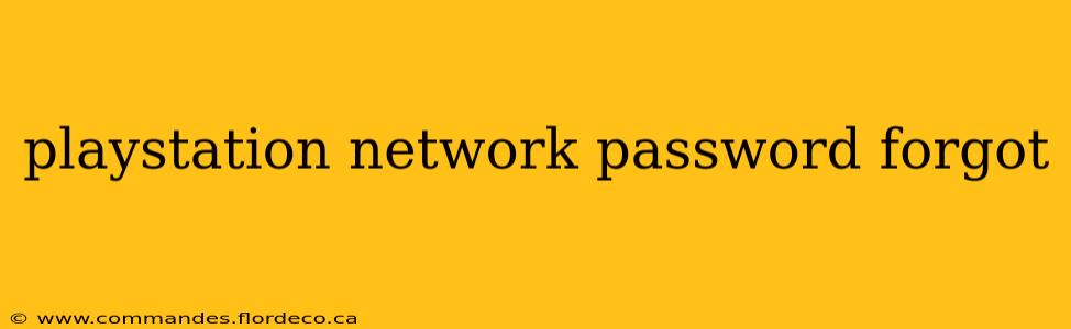 playstation network password forgot