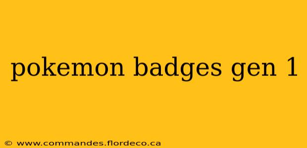 pokemon badges gen 1