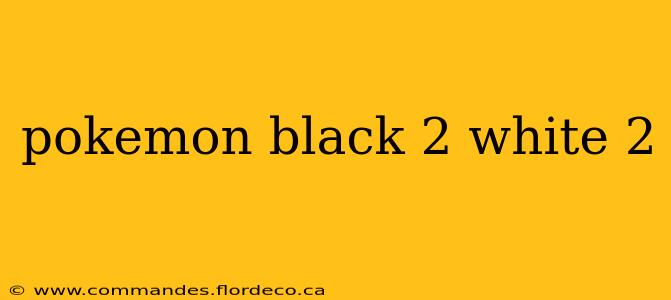 pokemon black 2 white 2