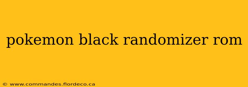 pokemon black randomizer rom