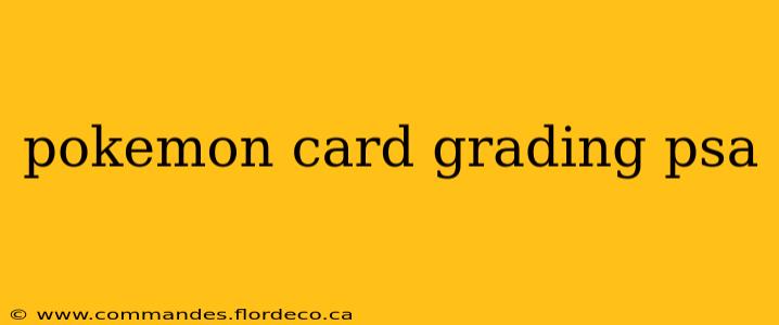 pokemon card grading psa