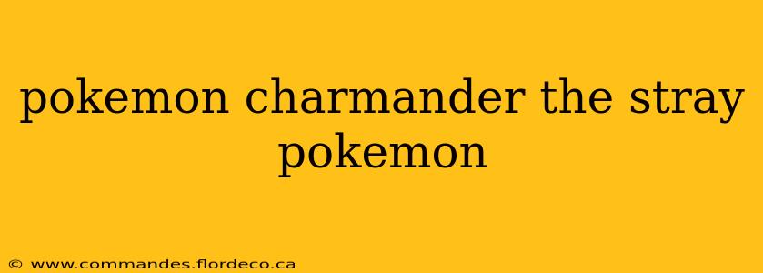 pokemon charmander the stray pokemon