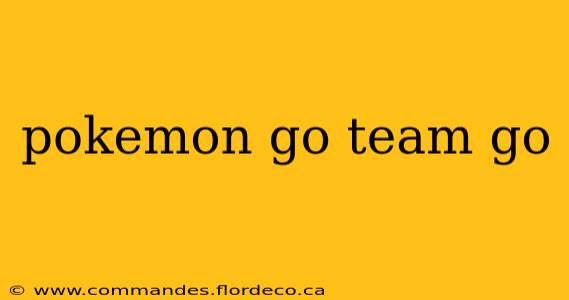 pokemon go team go