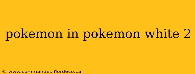 pokemon in pokemon white 2