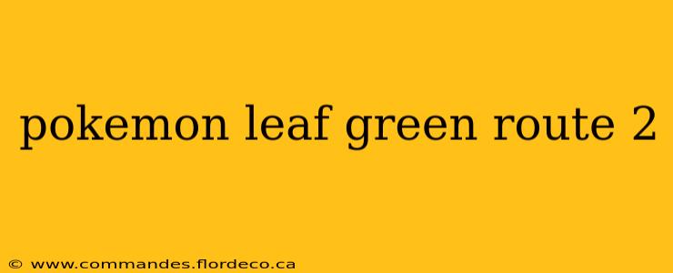 pokemon leaf green route 2