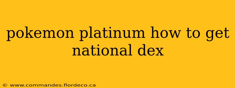 pokemon platinum how to get national dex