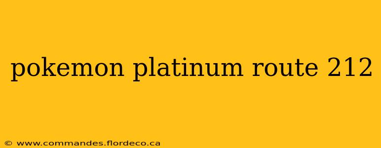 pokemon platinum route 212