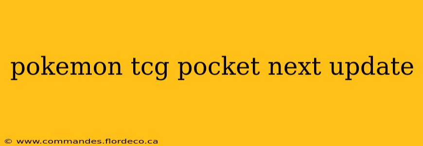 pokemon tcg pocket next update
