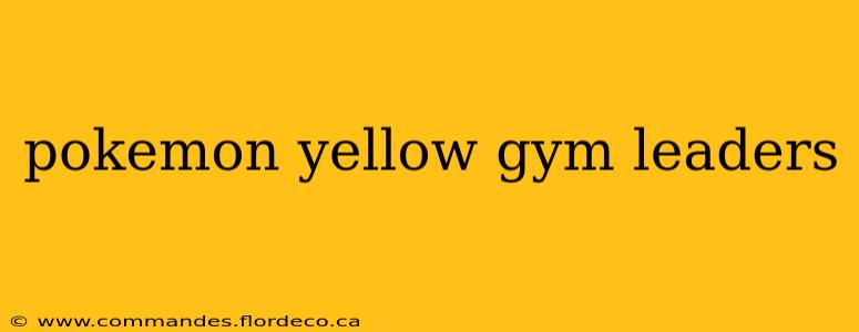 pokemon yellow gym leaders