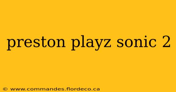 preston playz sonic 2