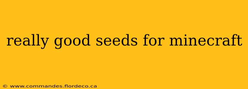 really good seeds for minecraft