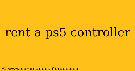 rent a ps5 controller