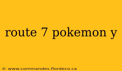 route 7 pokemon y
