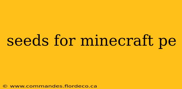 seeds for minecraft pe