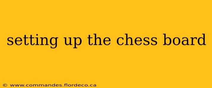 setting up the chess board